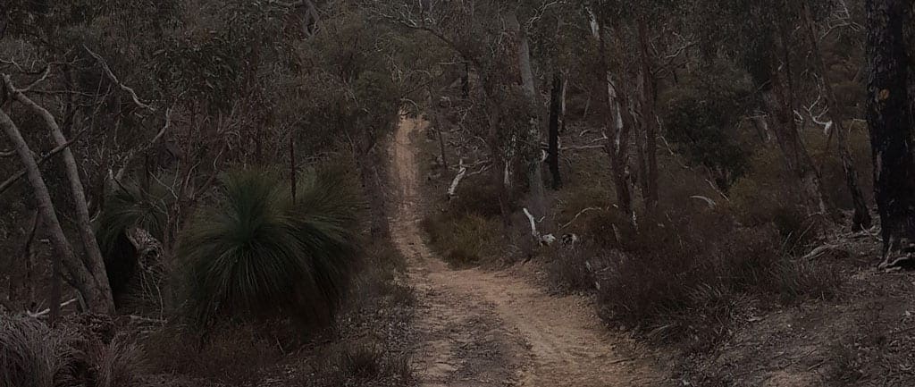 The burchell trail trail hiking australia