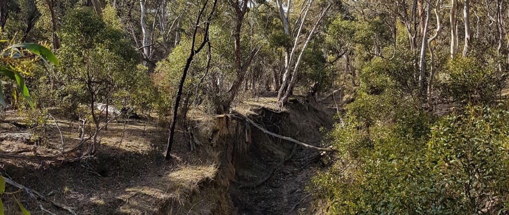 The burchell trail trail hiking australia