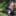 Coxa carry trail hiking australia 28