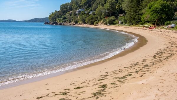 Mackerel beach & resolute loop walk (5. 4km)