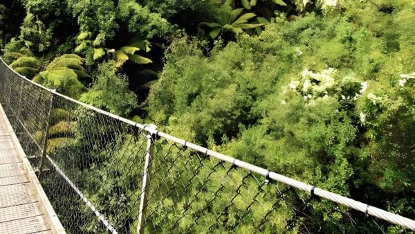 Montezuma falls rail trail walk (19. 5km)