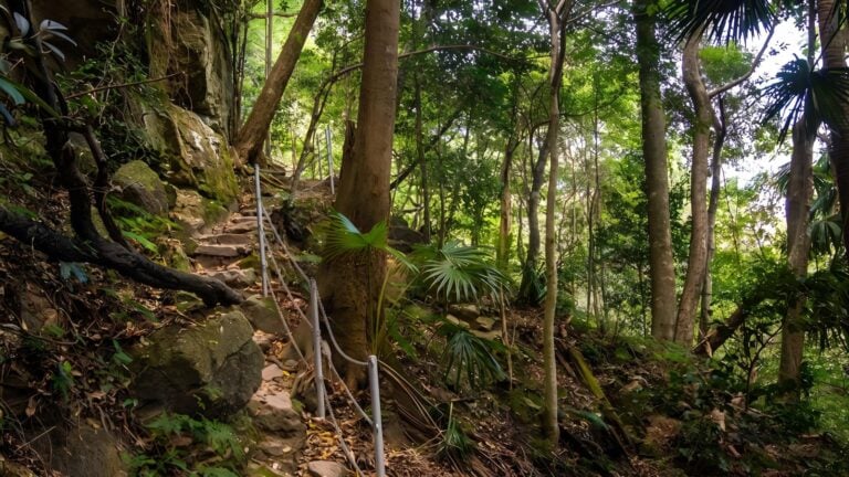Mount kembla ring track (5. 3km)