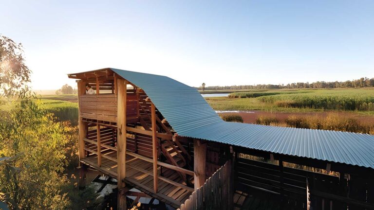Reed Beds Bird Hide Boardwalk (1km) Reed beds bird hide boardwalk (1km)