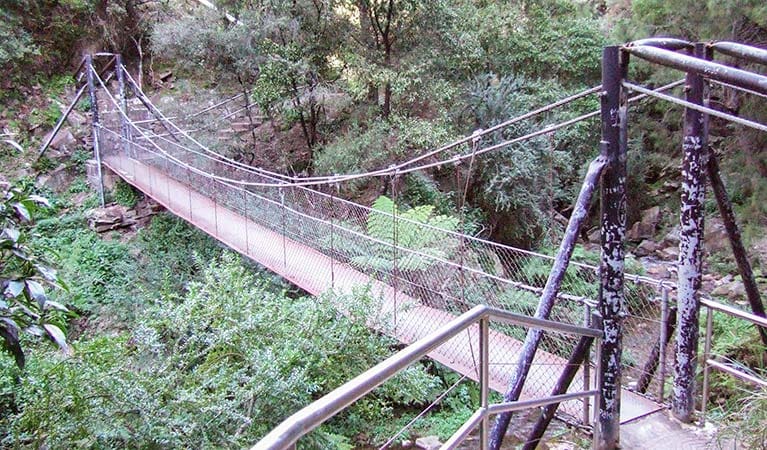 Jenolan River Walking Track (2.1km) Jenolan river walking track trail hiking australia