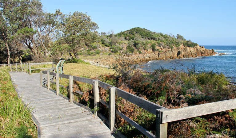 Mimosa Rocks Walking Track (1km) Mimosa rocks walking track trail hiking australia