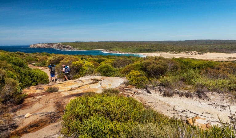 The coast track trail hiking australia