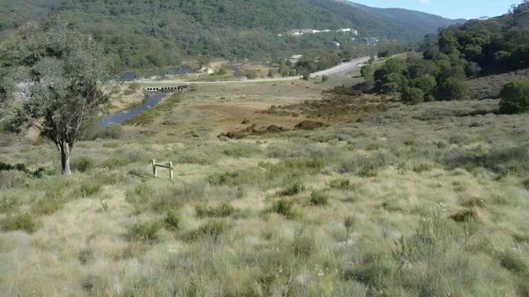 Bridle trail loop walk (2. 9km)