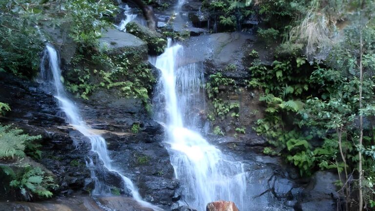 Conservation hut to empress falls walk (1. 1km)