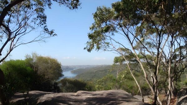 Curry Road to the Bluff - the Natural Bridge Walk (3.7km) Curry road to the bluff - the natural bridge walk (3. 7km)