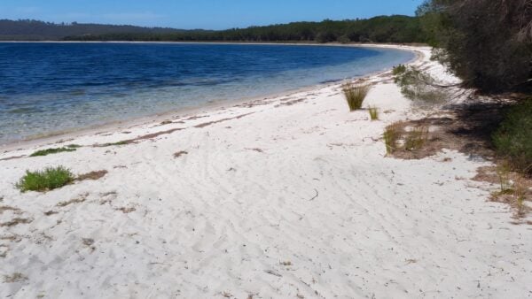 Hobart Beach Loop Walk (1.2km) Hobart beach loop walk (1. 2km)