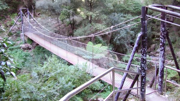 Jenolan River Walking Track (2.1km) Jenolan river walking track (2. 1km)