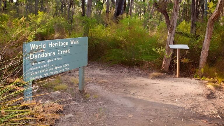 Little Dandahra Creek Walking Track (13km) Little dandahra creek walking track (13km)