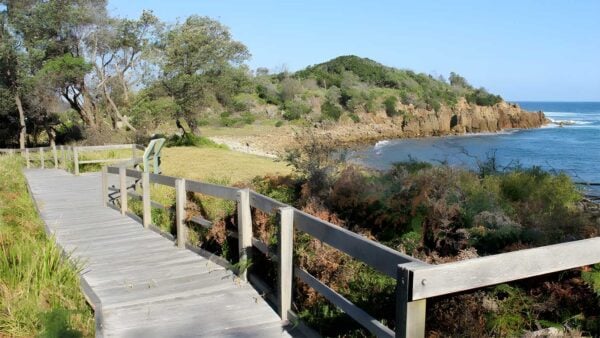 Mimosa rocks walking track (1km)