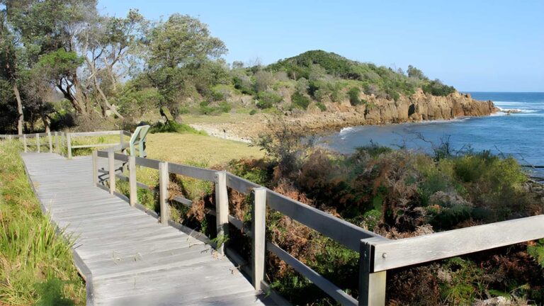 Mimosa Rocks Walking Track (1km) Mimosa rocks walking track (1km)