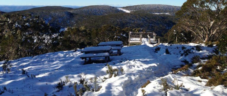 Find a hike or bushwalk