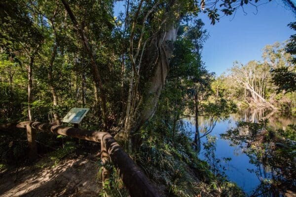 Bowenia rainforest circuit 600x400