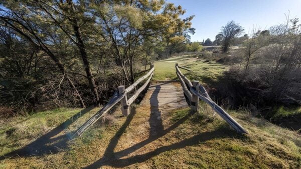 Bald hill walking track (4km)