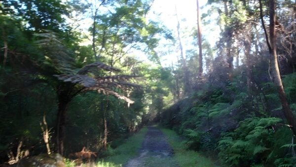 Darri track (4. 2km)