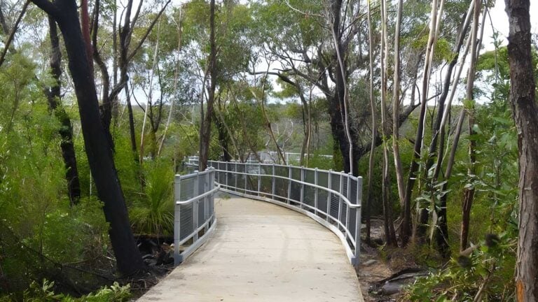 O'hares creek lookout walking track (2. 8km)