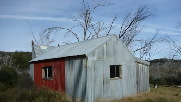 Paton's hut walk (5. 4km)