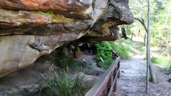 Red hands cave walking track - ku-ring-gai chase walk (600m)