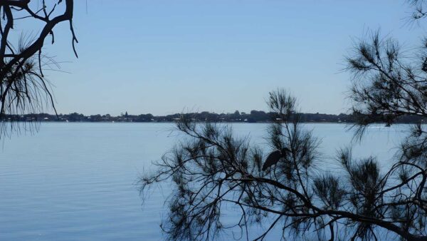 Tuggerah Lake Vista & Rainforest Walk (1.8km) Tuggerah lake vista & rainforest walk (1. 8km)