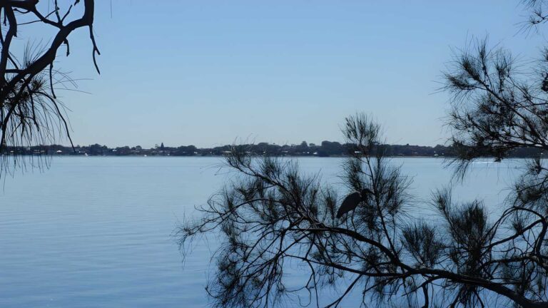 Tuggerah lake vista & rainforest walk (1. 8km)