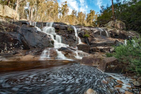 Ferntree Falls Walk (200 m) Echo falls 600x400