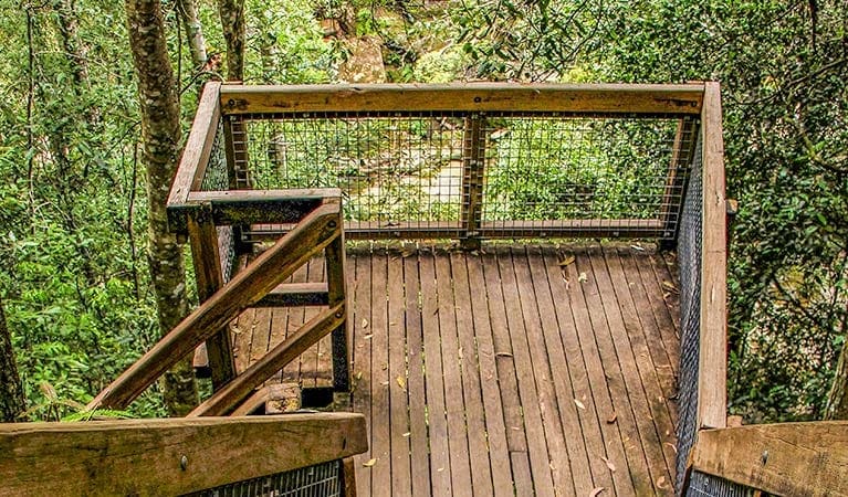 Somersby Falls Walking Track (100m) Somersby falls walking track trail hiking australia