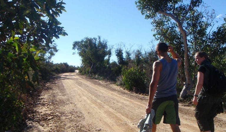 The Basin Track & Mackerel Track (9.6km) The basin track and mackerel track trail hiking australia