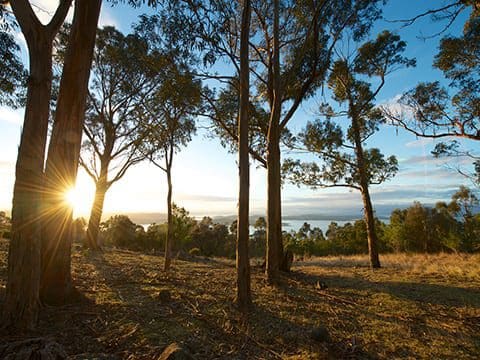 Truganini track