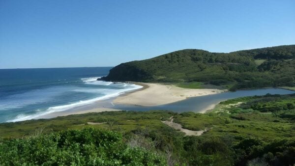 Charlestown park to newcastle station hike (12. 1km)