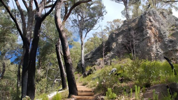 Mount Coryah Walking Track (2km) Mount coryah walking track (2km)