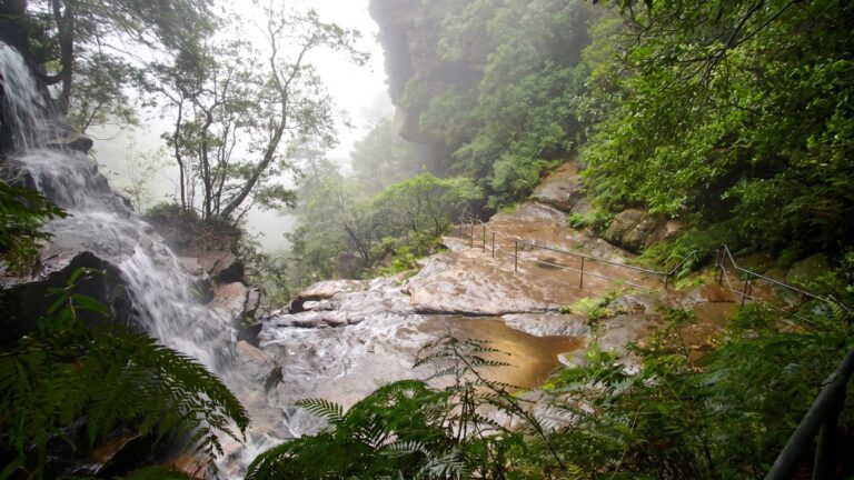 National pass from wentworth falls to conservation hut walk (3. 6km)