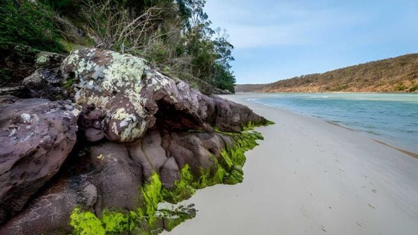 Pambula river walking track (1km)