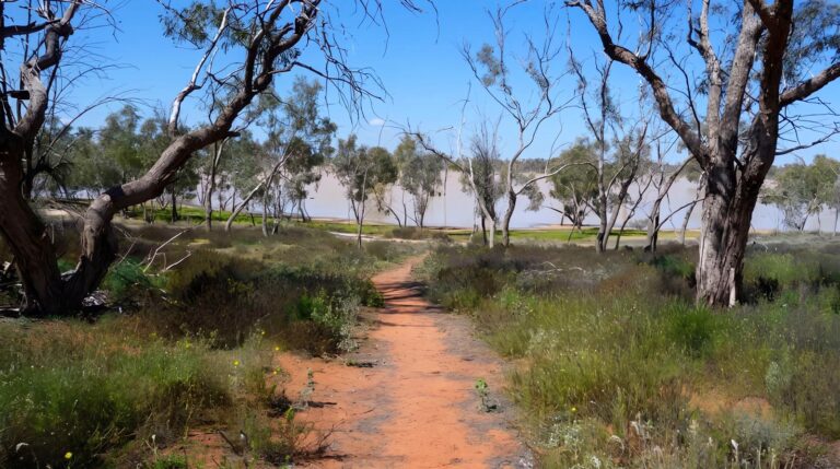 Wells Walk (4km) Wells walk (4km)