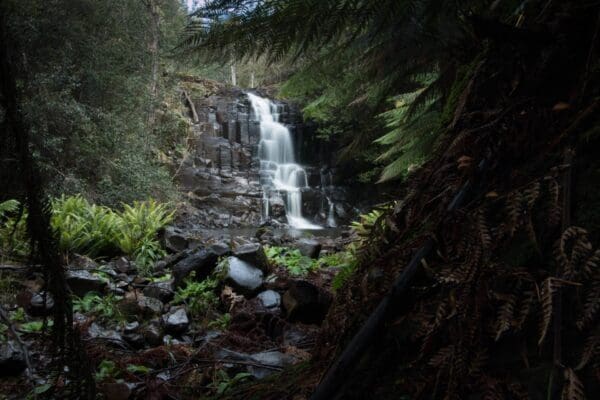 Forth Falls Walk (4km) Step falls 600x400