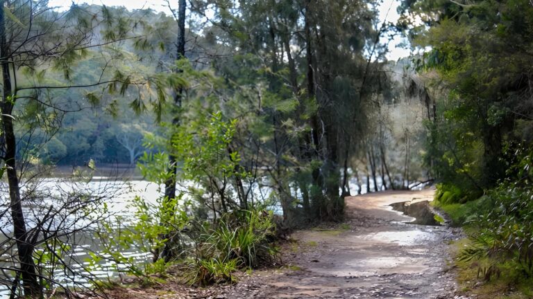 Davidson Park to Stepping Stone Crossing Walk (5.2km) Davidson park to stepping stone crossing walk (5. 2km)