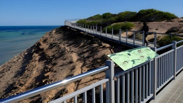 Eagle Bluff Boardwalk (400m) Eagle bluff boardwalk (400m)