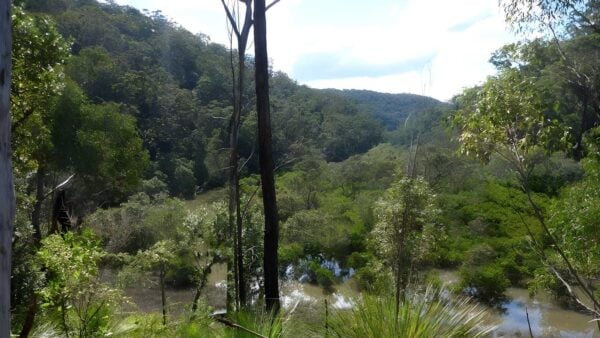 The perimeter trail to smiths creek hike (16. 1km)