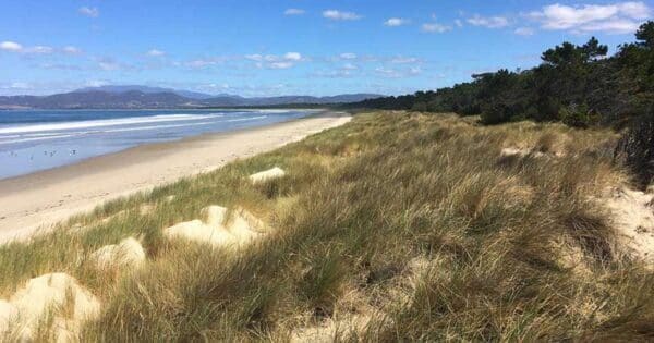 Hikes Seven mile beach 600x315