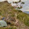 What makes a quality hiking tent