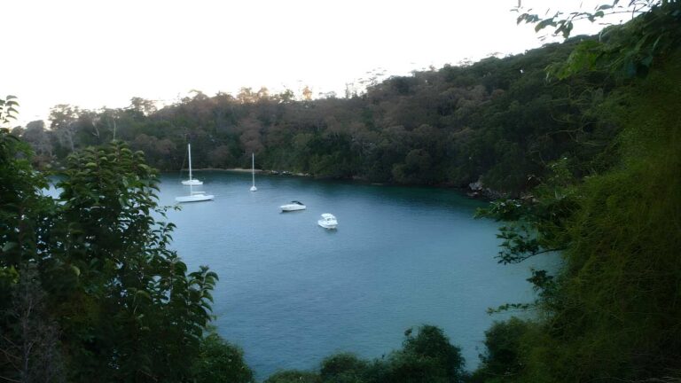 Bradleys head to chowder bay walk (2. 8km)