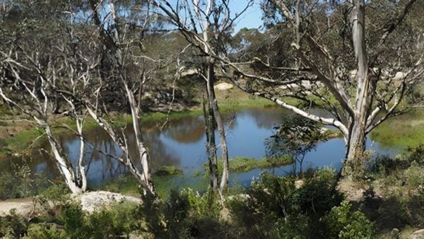 Brandy creek mine to cobungra river hike (7km)