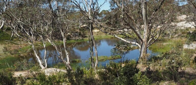 Find a hike or bushwalk