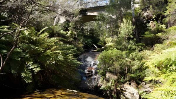 Leura Cascades Fern Bower Walk (4.5km) Leura cascades fern bower walk (4. 5km)