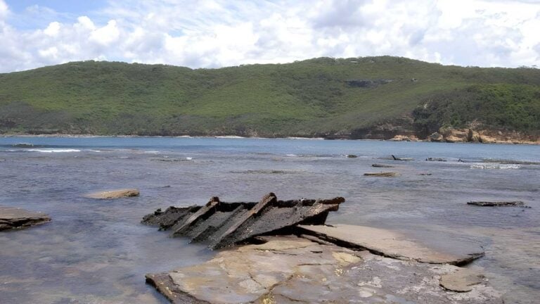 Maitland bay shipwreck track (3. 9km)