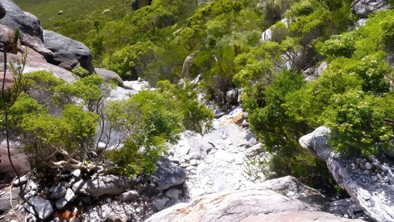 Mount ragged trail walk (3km)
