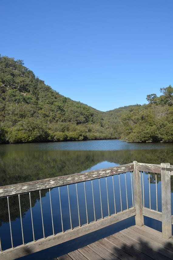 Bobbin Head Boardwalk (600m) Bobbin head boardwalk