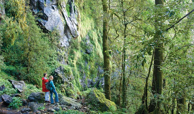 Weeping Rock Walking Track (2km) Weeping rock walking track trail hiking australia